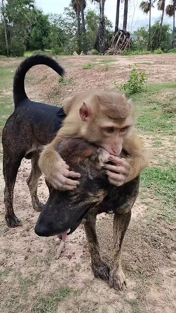 Best SokYaa, OG, Pao & Mom Are Famous Around The World #shorts #anime #trend #edit