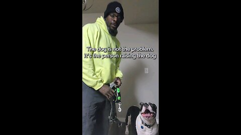 Putting on a harness