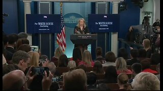 Karoline Leavitt: The Largest Airlines, Major Unions Have Called On Dems To Open The Govt