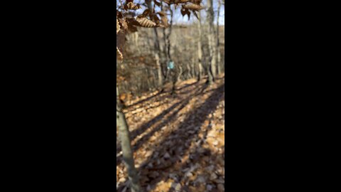 It’s Time for a Hike, Nature Walk Anyone?