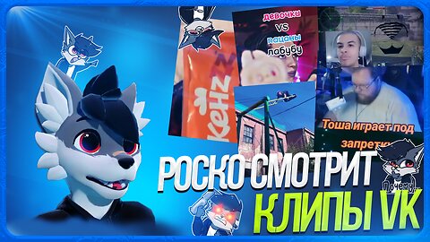 🐺 Роско смотрит ВК Клипы | ЧАСТЬ 6
