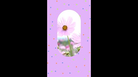 Oración Diaria por nuestros hijos 🙏