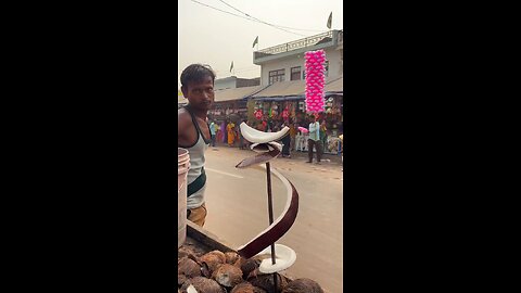 Selling Aesthetic Coconuts