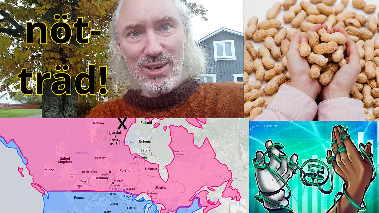 Omformulerad du och världen. Djurisk visdom. Hur norrut? Talmud-åklagare. Tether används av över 6%