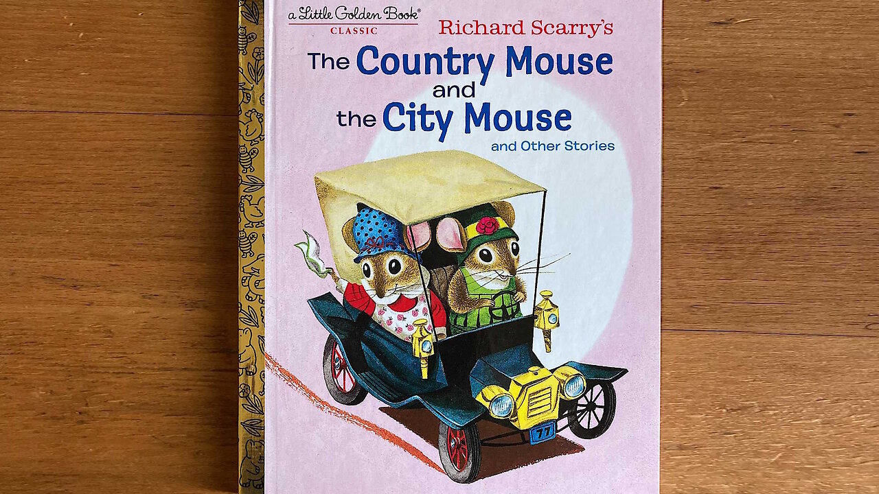 Country Mouse 🌳 City Mouse 🏢