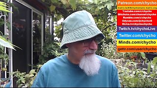 Patio Garden Open Discussion - Sunday, August 17, 2025 [ASMR]