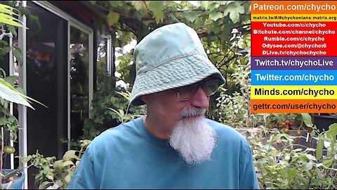 Patio Garden Open Discussion - Sunday, August 17, 2025 [ASMR]