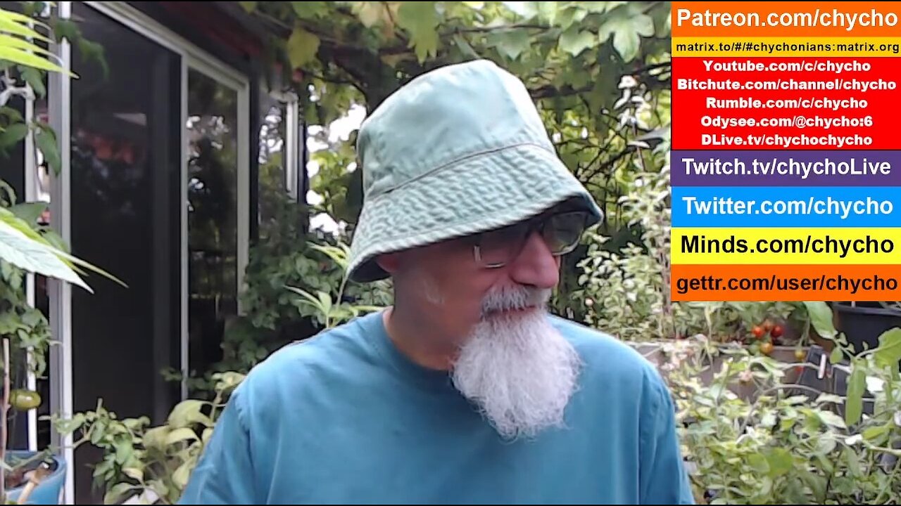 Patio Garden Open Discussion - Sunday, August 17, 2025 [ASMR]