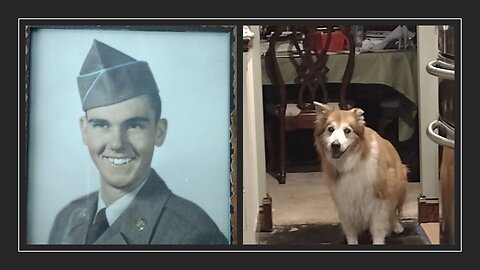 The Wild Tales of Ron Sapp Episode 3 - Ron and Butterscotch