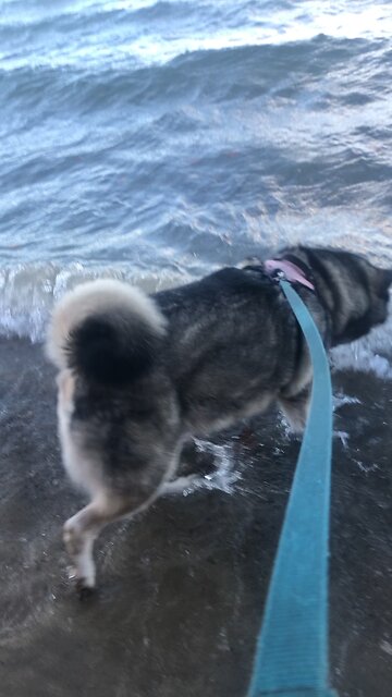 Monday November 3, God saved you by his special favor.