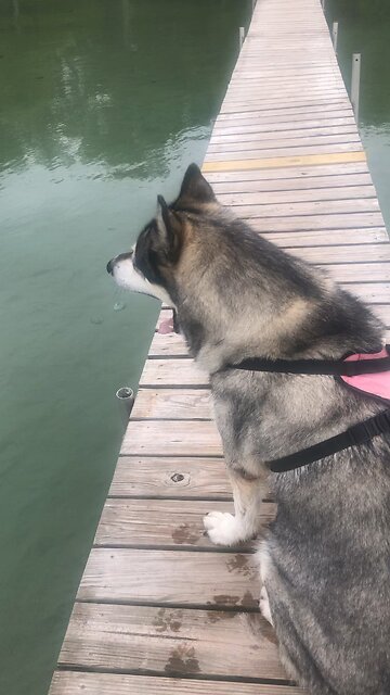 Wednesday June 18, He doesn’t live in man-made temples.