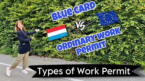 Types of Visas in Europe | Blue Card vs Ordinary work permit | Criteria & Benefit