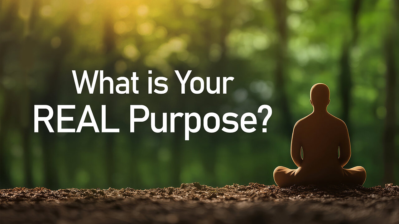 What is Your REAL Purpose? | How Can We Find Our Permanent Happiness?