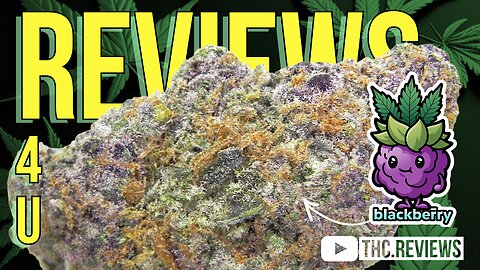 BLACKBERRY KUSH (STRAIN REVIEW) | REVIEWS 4 U