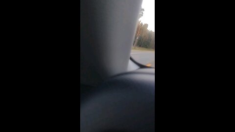 horses on the Arkansas highway