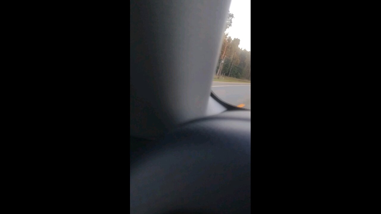 horses on the Arkansas highway