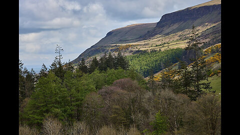 Waterfall Walk: Glenariff Forest Park, Ireland