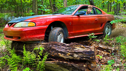 Creeping Through The Woods In My New Mustang