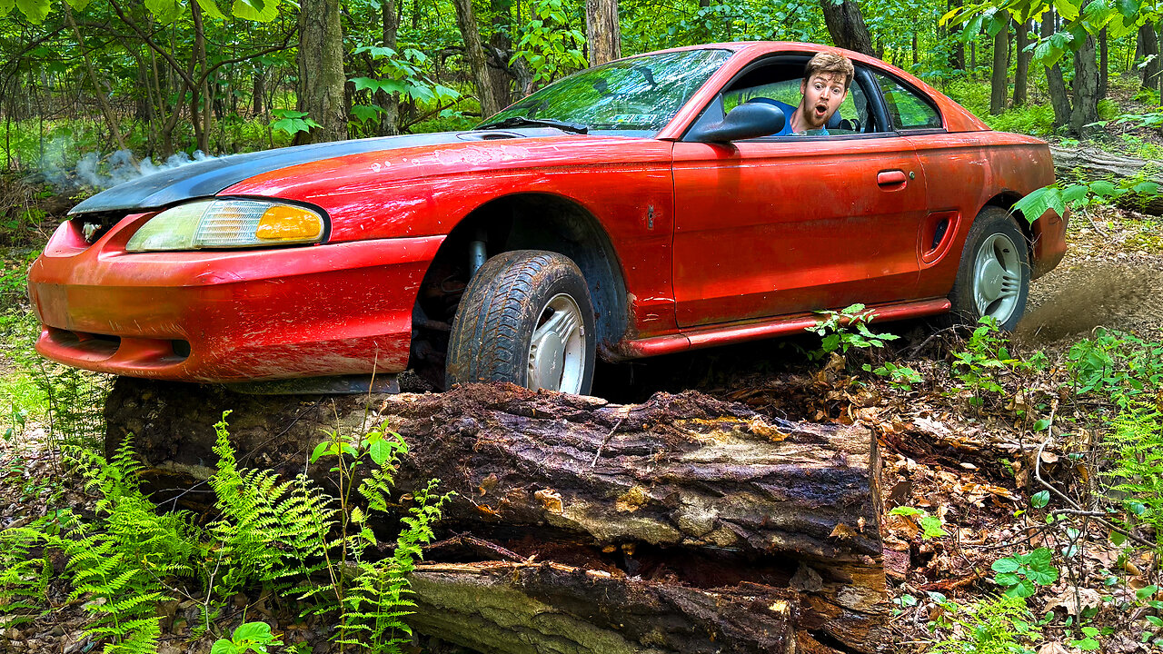 Creeping Through The Woods In My New Mustang