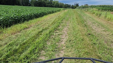 Mowing the field road. (Loud audio)