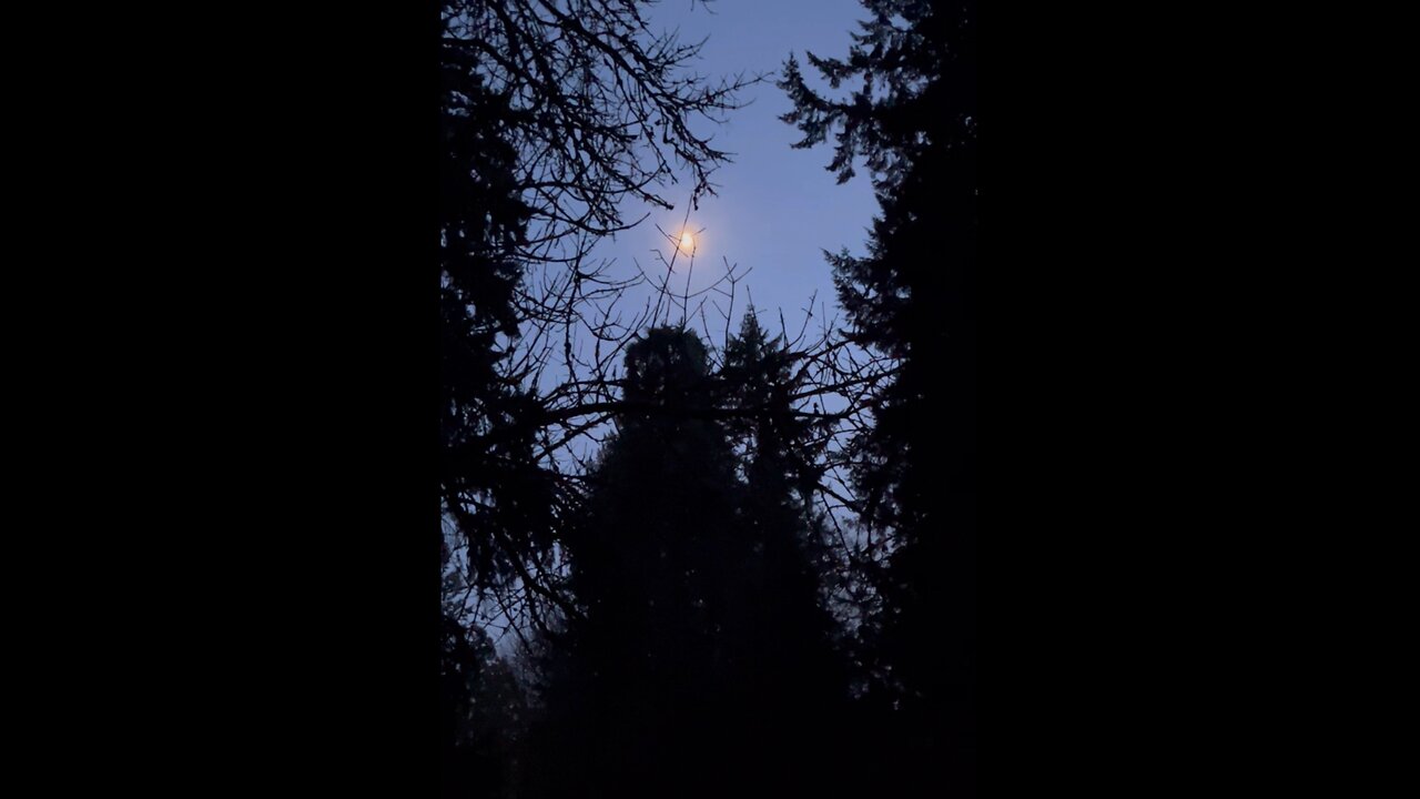 Channel update and ideas