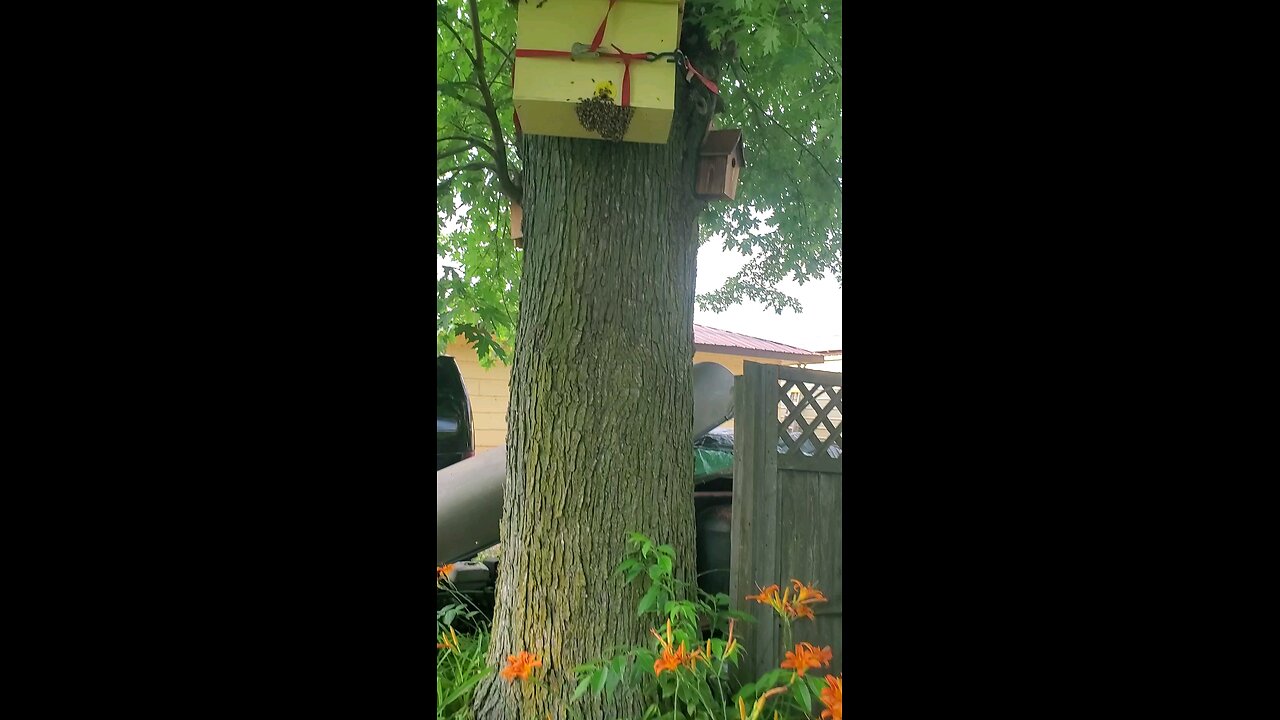 Got da Swarm 🐝👍