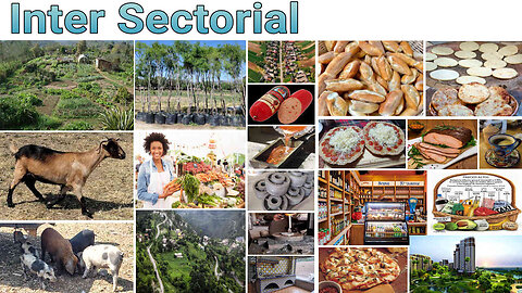 Economía Integrada y Por que Comunicarnos entre Sectores