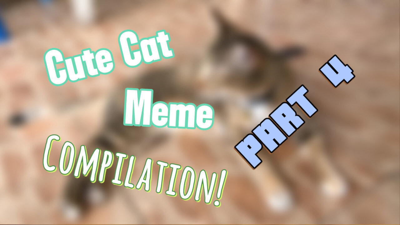 Prepare Your "Awws"! The ULTIMATE Test of Cute Cat Memes!