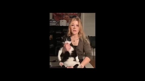 funny video for cats in the world is that