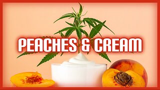 JK Distro Review | Peaches & Cream/Turn Pen First Impressions #JKDistro
