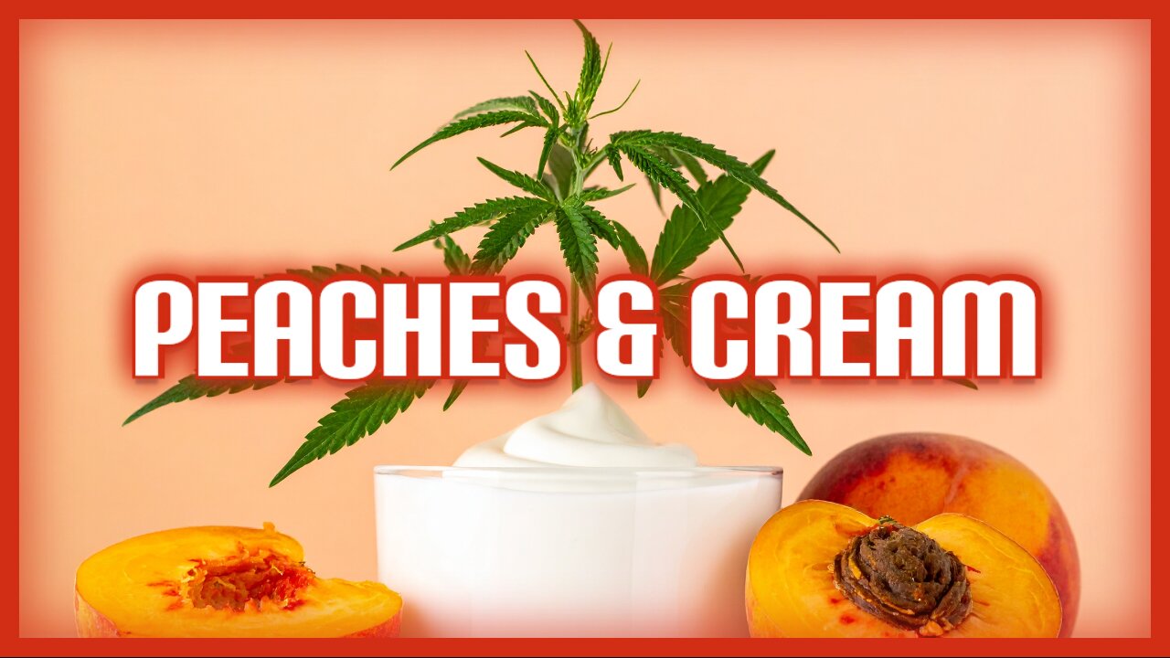 JK Distro Review | Peaches & Cream/Turn Pen First Impressions #JKDistro