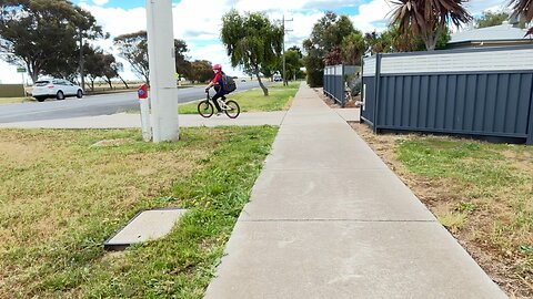 ❤️🐶❤️ Quite afternoon