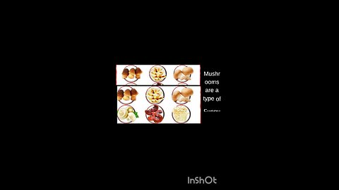 science quiz for children