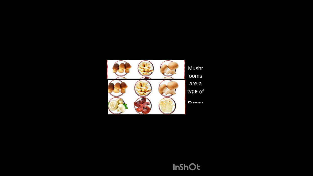 science quiz for children