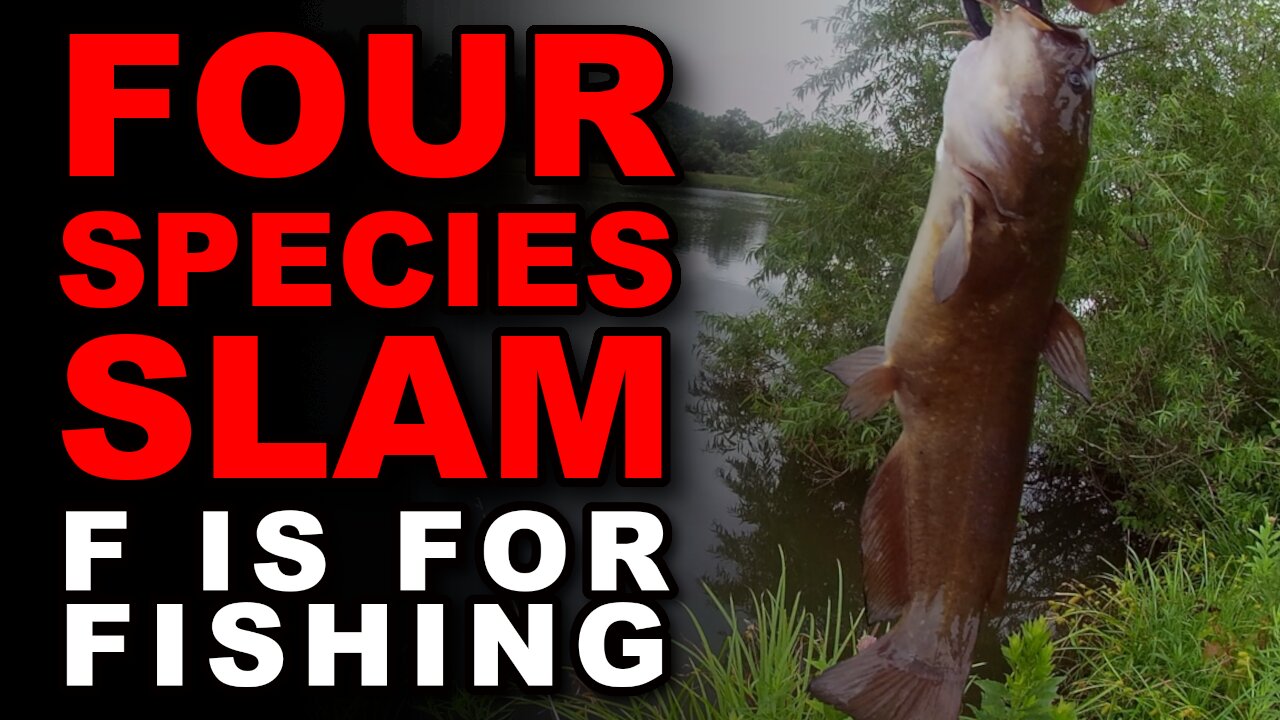 Four Species Slam