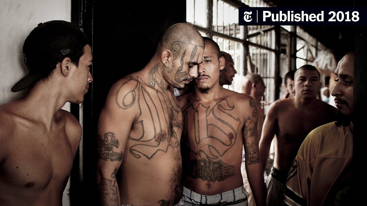 MS-13 Convict Sues Trump Administration Over ‘Gender Discrimination’
