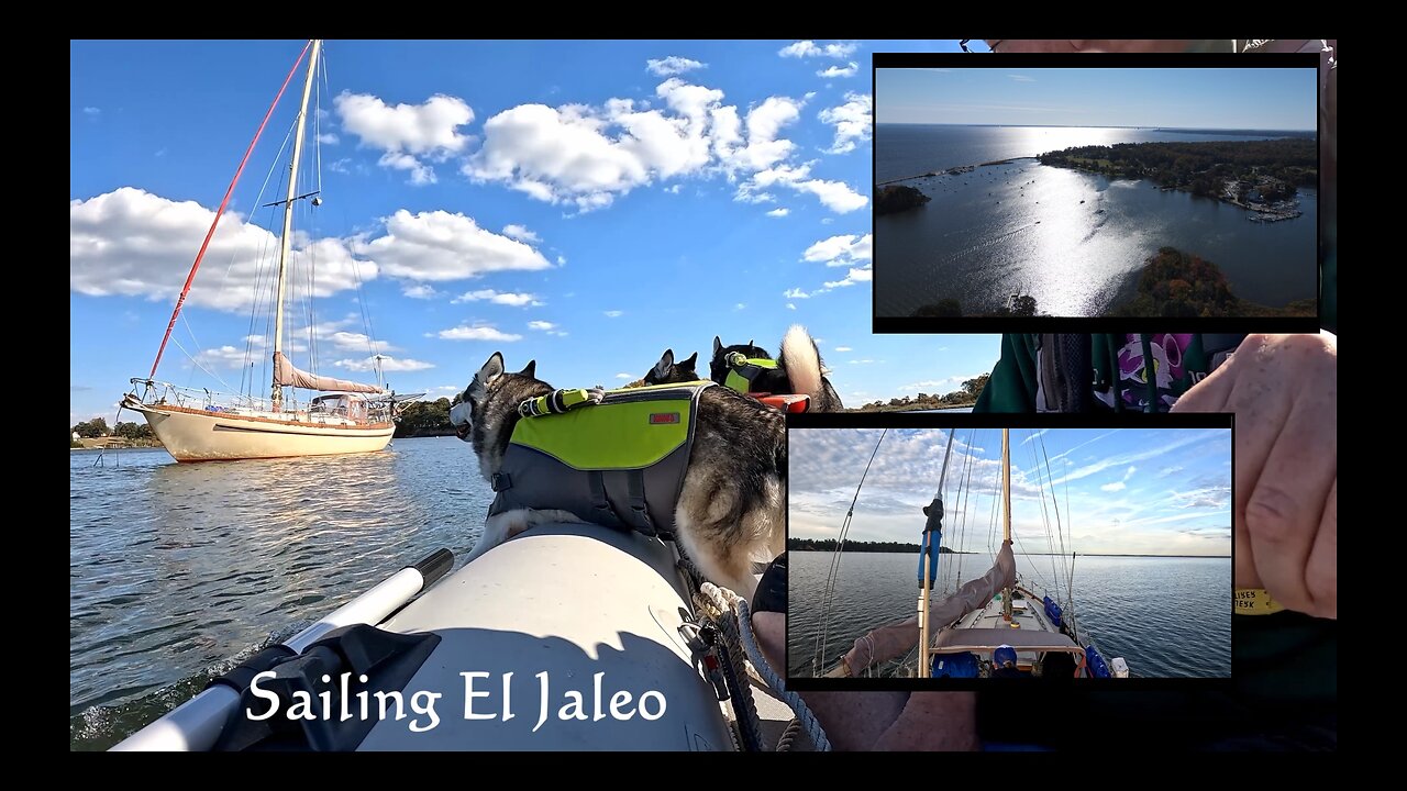 S05E45 - Patience Can be a Challenge