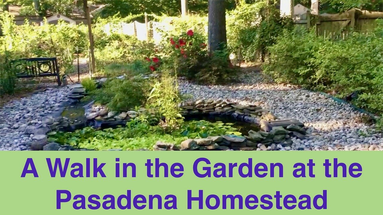 2016 Pasadena Homestead Garden Walk