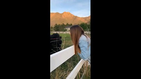 most funny videos 😅 😂 📹