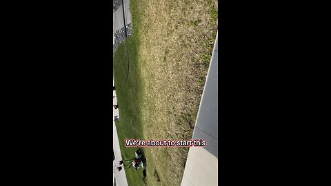 Driveway revamp part 1