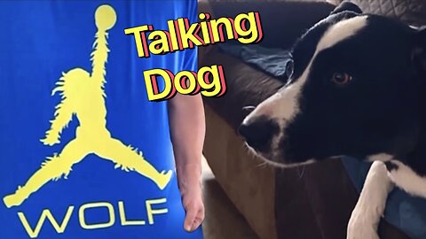 Talking Dog