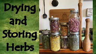 Drying and Storing Herbs (2025)