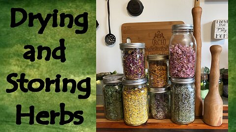 Drying and Storing Herbs (2025)