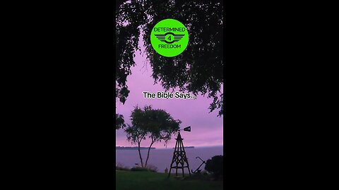The Bible Says...