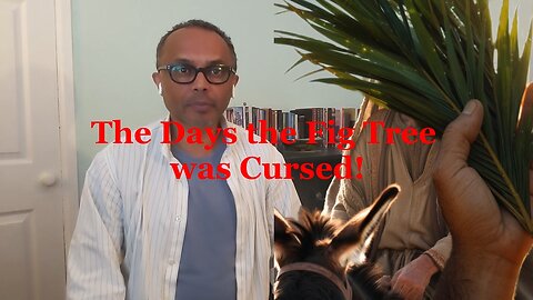 The Days the Fig Tree was Cursed