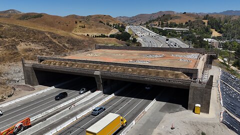 World’s Largest Wildlife Crossing Under Construction in Southern California