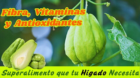 BENEFICIOS DEL CHAYOTE