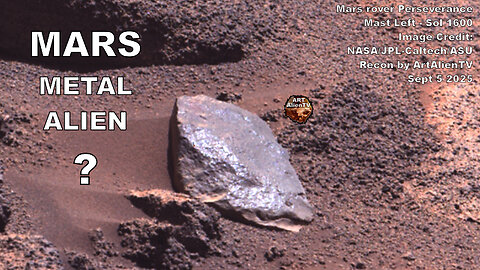 MARS Metal Alien ? Near Petrified Tree ! ArtAlienTV 4K