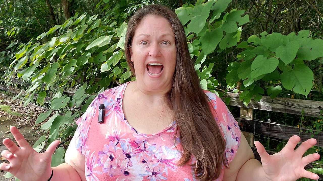 How Can You Thrive Amidst Chaos? (Part 1) ✨ Caregiving Chronicles 🫂