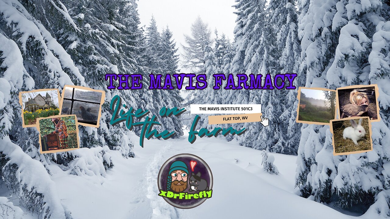 🎉 Holler Radio | IRL FarmStream | Winter in West Virginia | Music + Alan Watts